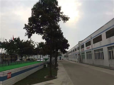 廠區(qū)一角