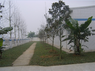 廠區(qū)一角